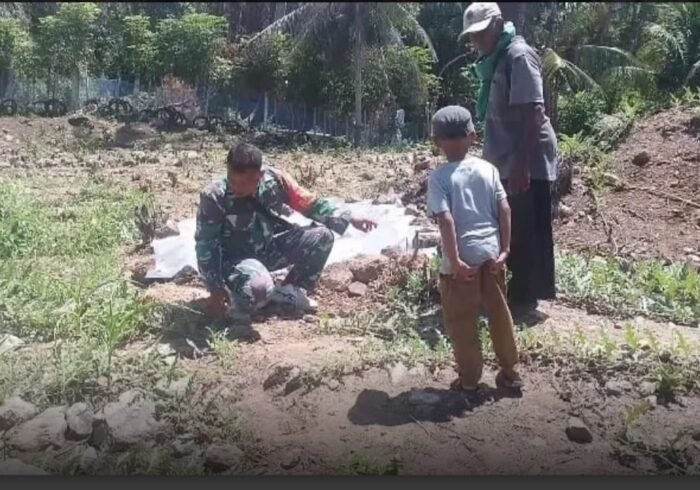 Dari Ladang Pasi, Semangat Petani Keuneukai Menopang Ketahanan Pangan di Tingkat Gampong