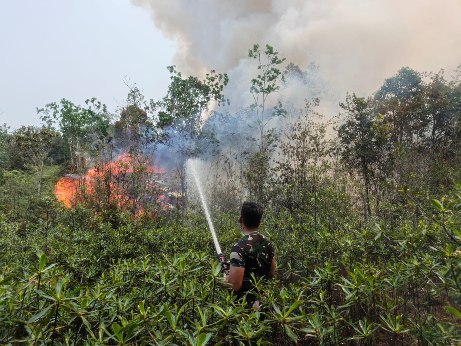 Aksi Bersama Memadamkan Karhutla di Kalimantan Tengah